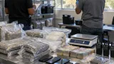 DNCD reporta 4,281 arrestos y casi 931 kilos de sustancias ocupadas en octubre