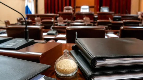 Senado recibe proyecto para fortalecer la producción nacional de arroz