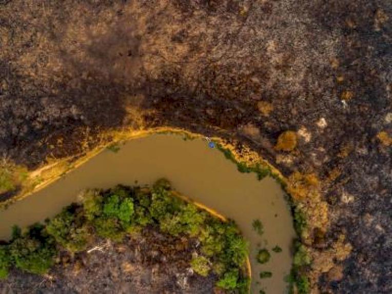 deforestacion-de-la-amazonia-brasilena-rompe-records