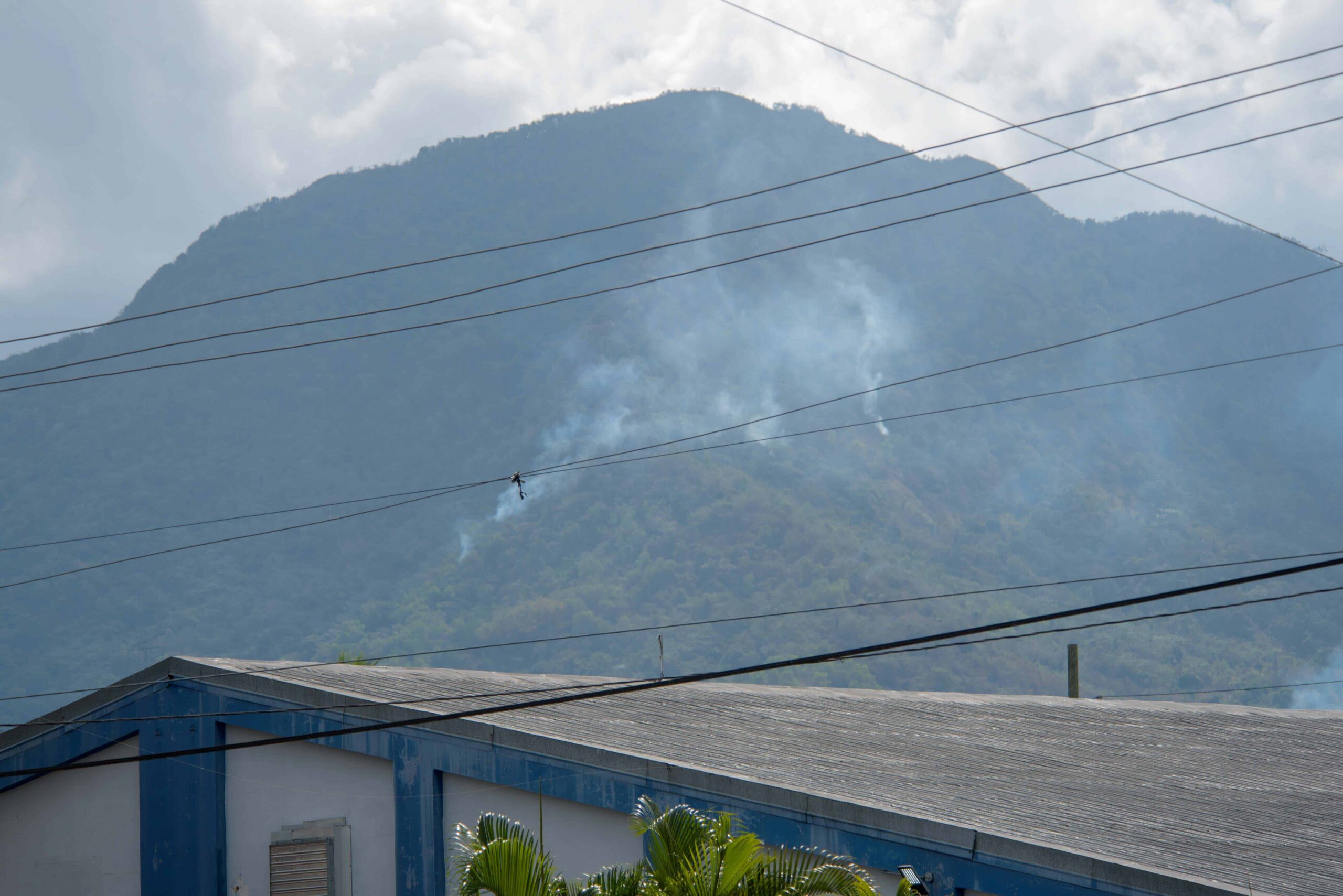 Incendios forestales han afectado principales áreas protegidas de Villa Altagracia – El Profe Show