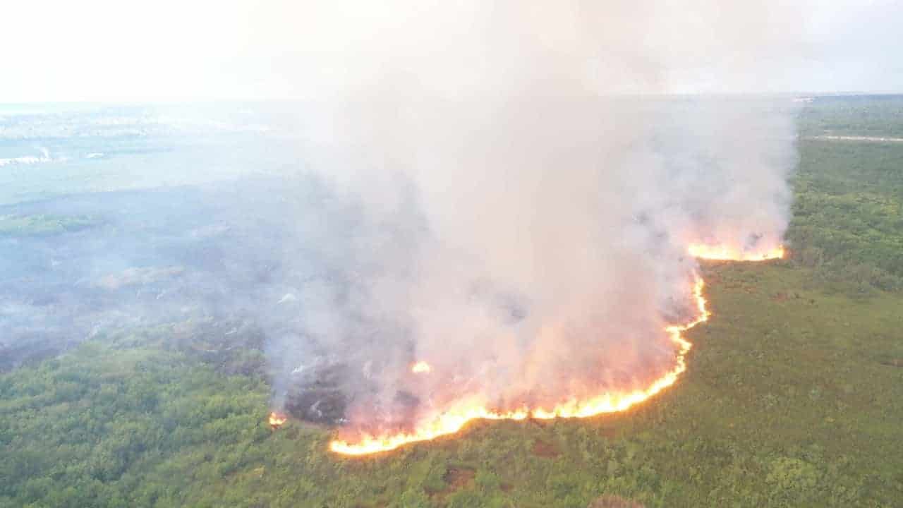 Incendios forestales han consumido un área 20 % más grande que el Distrito Nacional – El Profe Show