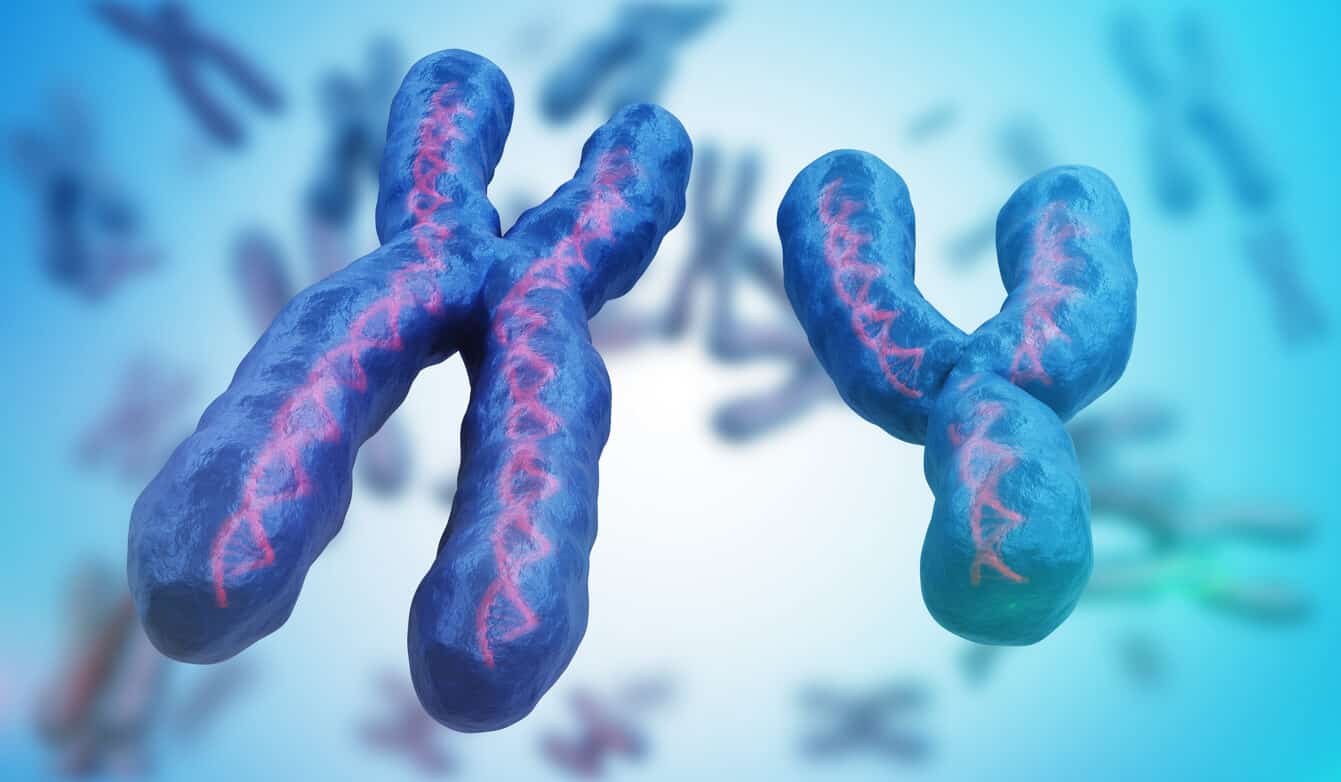 La pérdida del cromosoma Y en los hombres, con la edad, favorece el crecimiento del cáncer