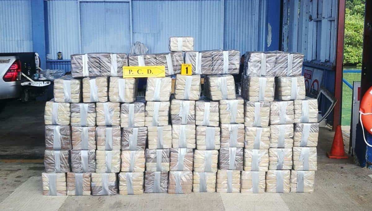 Decomisan en Costa Rica contenedor con 500 kilos de cocaína con destino a Europa
