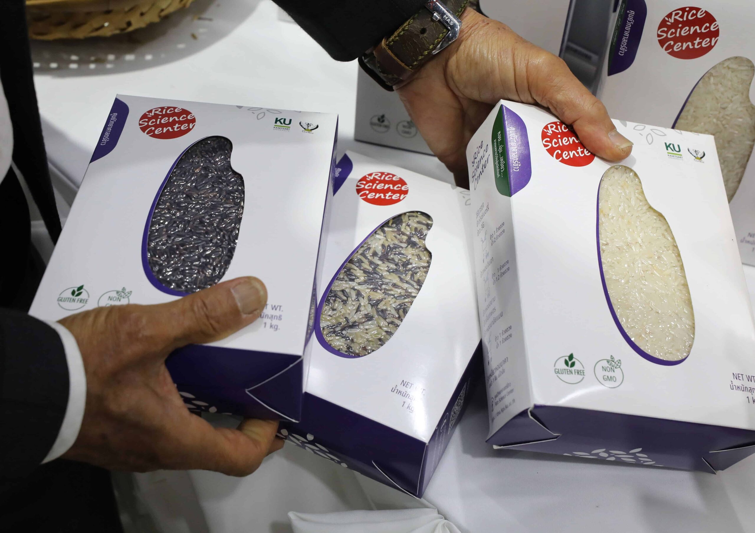 España y Tailandia buscan un tipo arroz apto para diabéticos y con resistencia climática