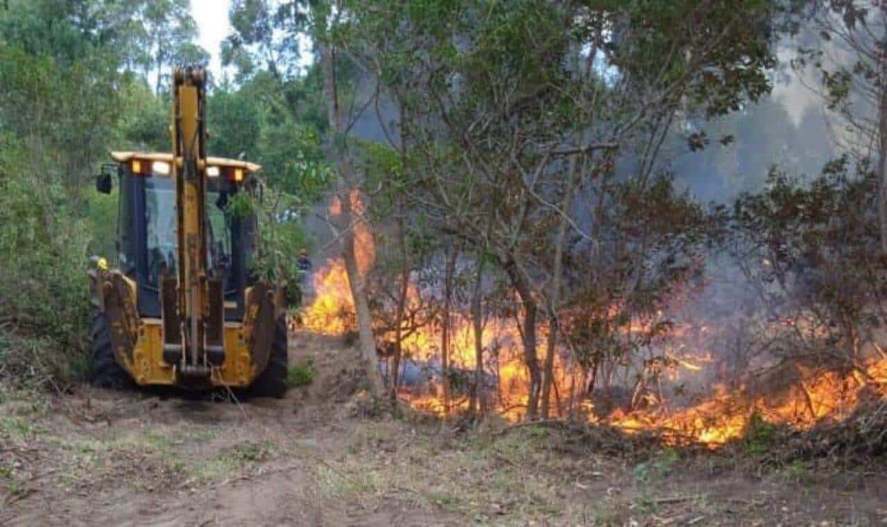 El Seibo ha registrado 52 incendios forestales en primeros meses de 2024