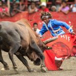 ¿Cómo llegan las corridas de toros a El Seibo?